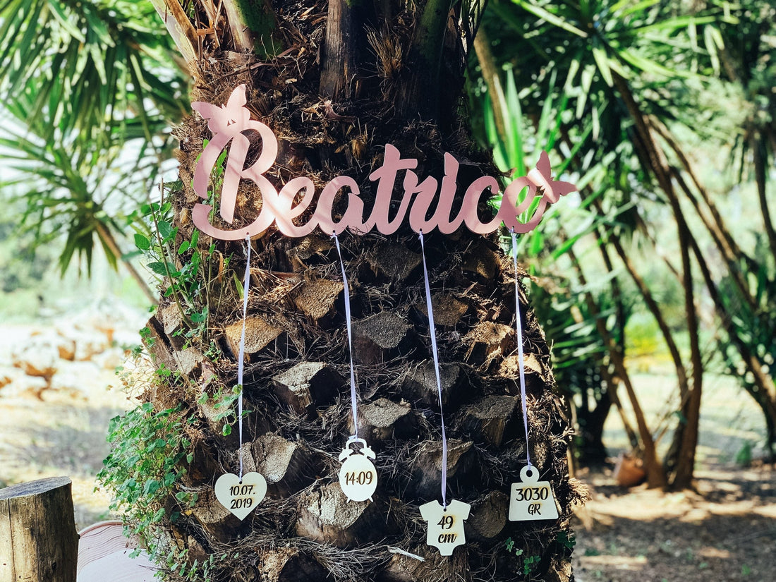 Targhetta Nascita Personalizzata Idea's Cottage