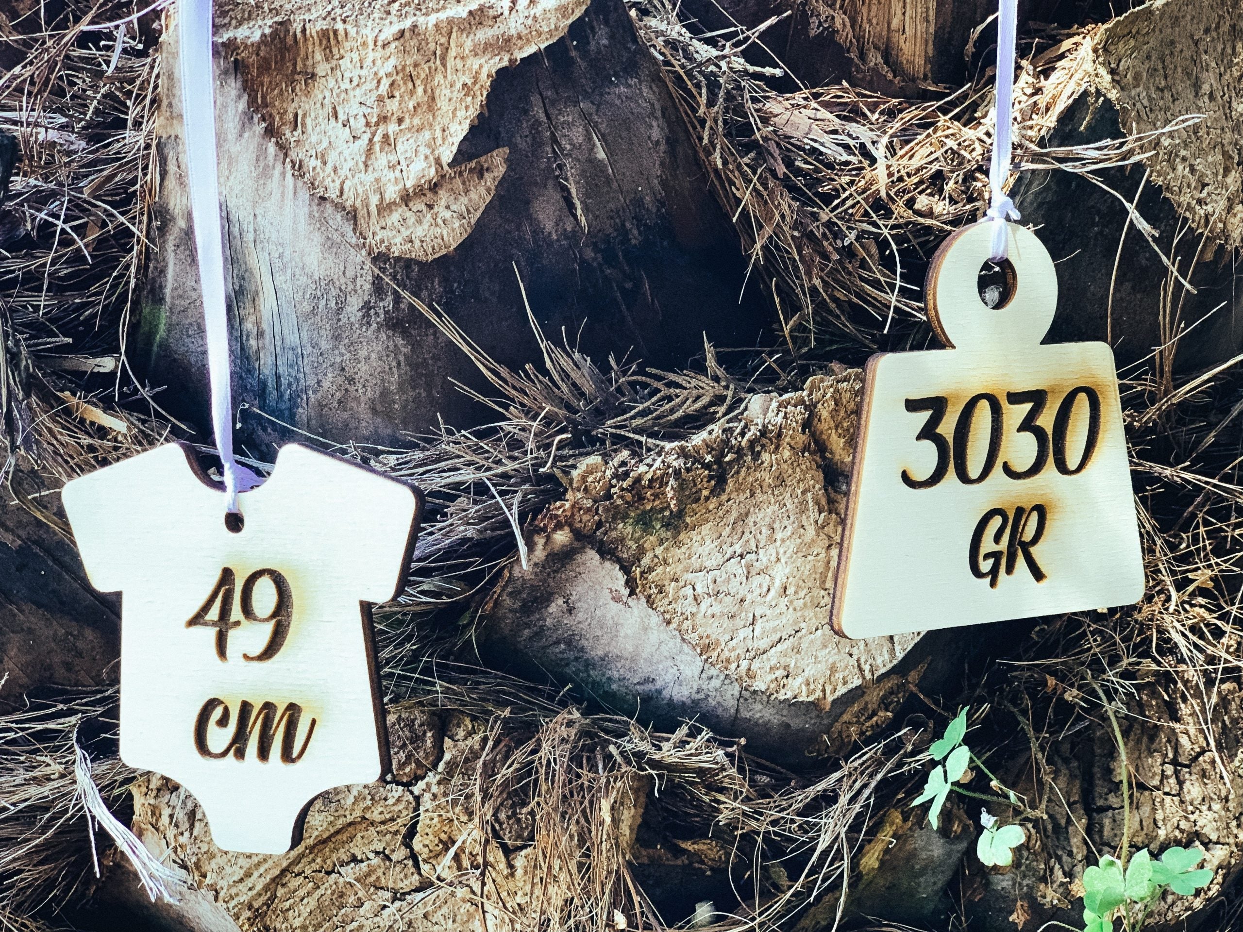 Targhetta Nascita Personalizzata